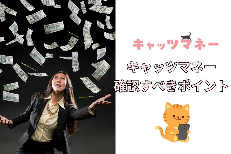 キャッツマネー利用前に確認しておきたいポイント